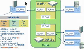 什么是光纤通道协议 