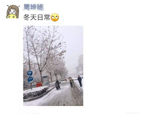 下雪啦,宁医人爱心行动温暖这个寒冬