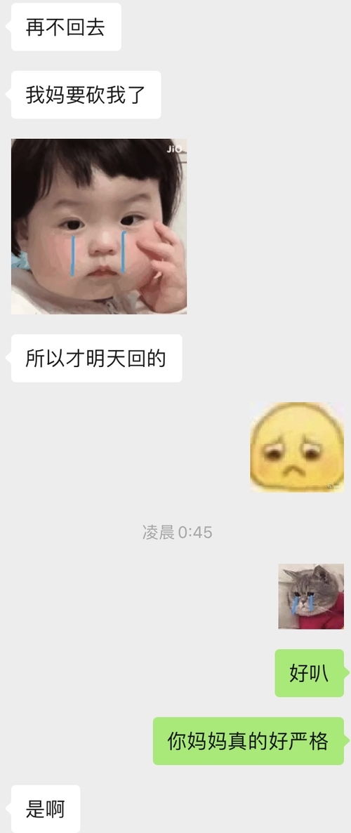 聊天一个月 我把crush聊跑了 又回来了 