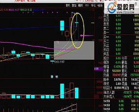 通达信支持取涨跌停价格的功能怎么用