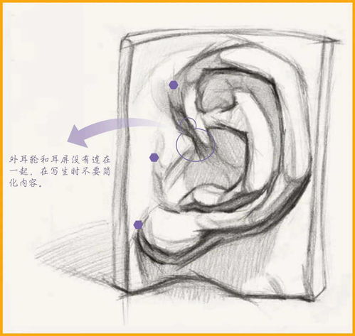 广州画室培训 画素描头像最重要又最容易被日忽略的地方