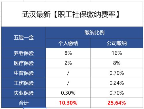 社保交满15年就停,到底是亏了还是赚了 看完心里有数