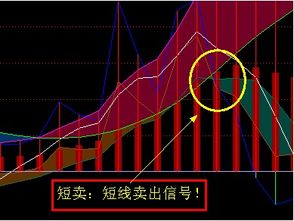 stickline在股票指标中什么意思