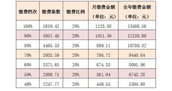 桐城市养老保险缴费基数(桐城灵活就业人员养老保险)