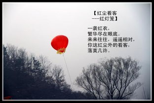 关于灯的爱情诗句