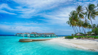马尔代夫机票攻略预算多少钱才能飞往这个度假天堂（马尔代夫机票多少钱一张）