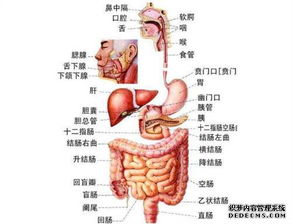 左肋骨钻进去一股气，是什么症状？