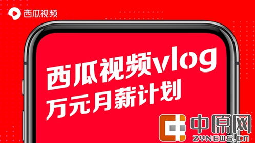 河南一零基础小伙拍视频记录打工生活 实现月入过万