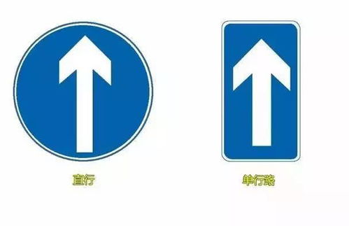 农村小伙用9万买辆车,骗了99个女人 