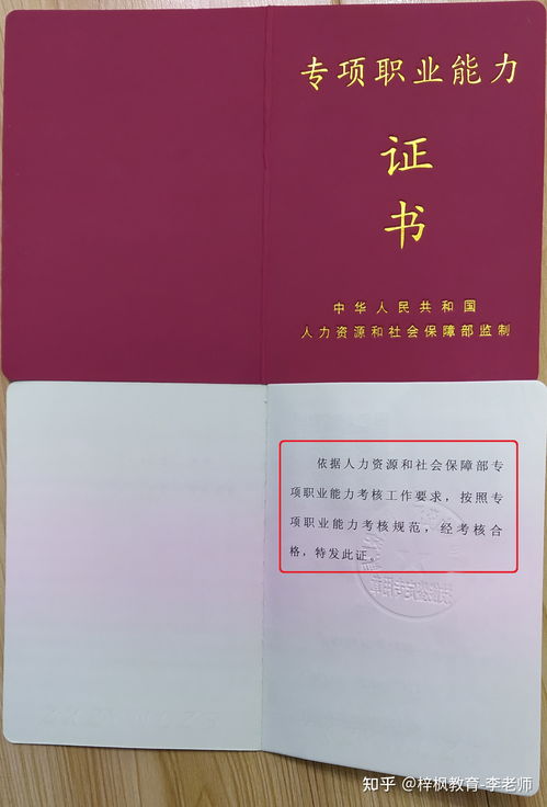 全国职业证书查询网 (职业技能等级证书查询官网)