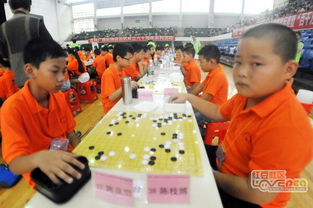 梧州市少年儿童围棋锦标赛盛大举行