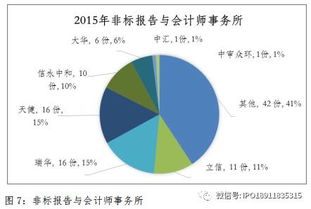 上市公司的审计现状