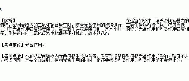 稳定的名言-只有像陀螺一样自转才能保持稳定名人名言？