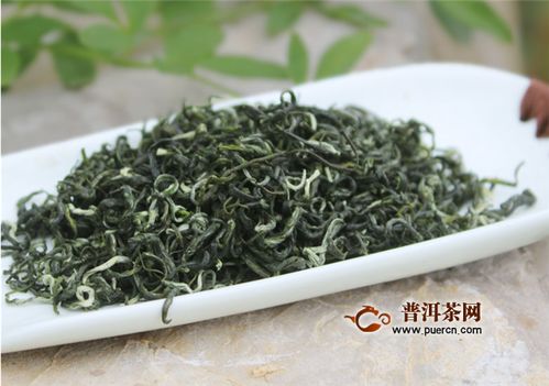 碧螺春属于什么茶(碧螺春是属于什么茶类)