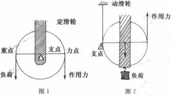 如何分辨定滑轮和特殊动滑轮的使用方法 