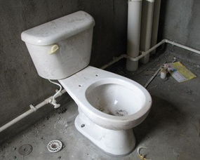家里卫生间总是有臭味,马桶和下水道都没堵 
