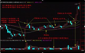 买100块买股票一天可以赚多少？