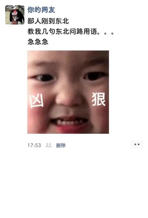 一人来一句东北话 