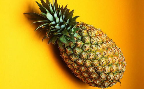 菠萝不能和什么一起吃 菠萝的饮食禁忌