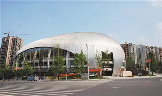 重庆卫视20190301，重庆最大的体育馆能容纳多少人
