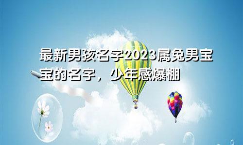 最新男孩名字2023 属兔男宝宝的名字,少年感爆棚