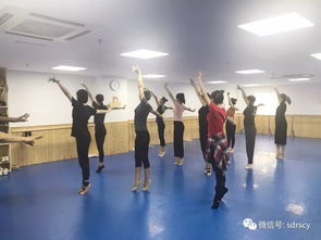 北京舞蹈专业院校有哪些