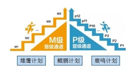 你好，我今天接到了中公教育培训讲师的面试通知，看着要试讲10-15分钟的ppt，但是我不知道要将哪一方面的