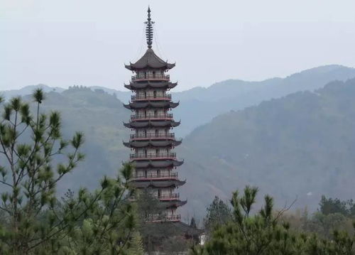 活动回顾 登胡公名山,游方岩仙境 