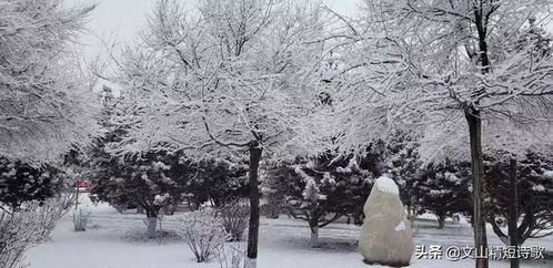 文山诗歌 七律 雪后遐思