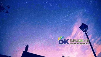 没看到双子座流星雨 那就看看大师们的作品吧 马鞍山OK聊吧 