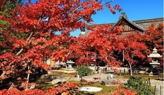 甘露寺在哪 北京甘露寺在香山公园内,历史悠久