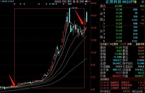 正邦科技业绩大幅增长，股价为什么下跌！现在的形式该怎么操作？