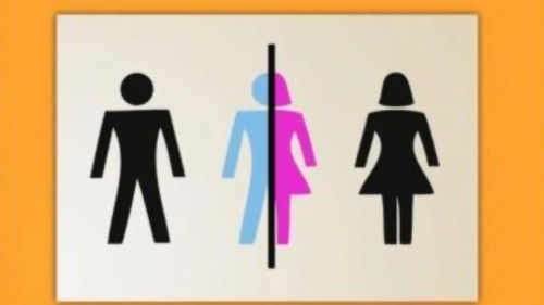 你真的是男人或者女人吗 德国立法承认第三性别,人类有5种性别 