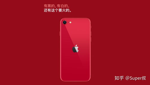 iPhone SE第二代什么颜色好看 