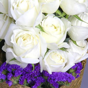 11朵白玫瑰代表什么,男人送白玫瑰代表什么意思？白玫瑰花语是什么？