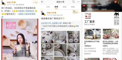 宠物食品品牌如何赢得新一代宠物主的心 数嗨洞察