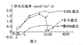 基因突变的可逆性是什么意思