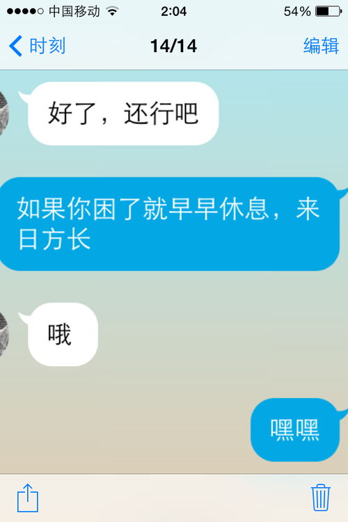 什么意思 