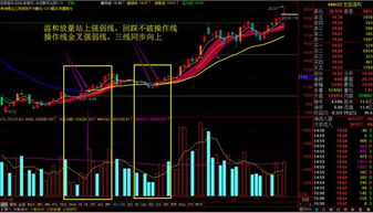 国字号的股票究竟是怎么了？