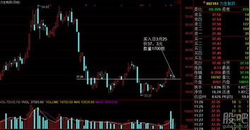 今天少量的买入了：000002是10.22元买入；000522是8.43元买入；580016是4.339元买入；600019是6.503元买入，请操作股票高手帮我推荐如何操作后期