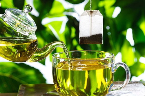 绿茶有减肥作用吗 饮用绿茶方法