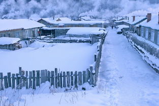 新闻屡次曝光雪乡宰客事件，去雪乡旅游能有多坑