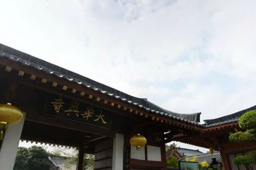 深圳十大著名寺庙排名,东山寺上榜,第一是国内首座佛教寺庙 2