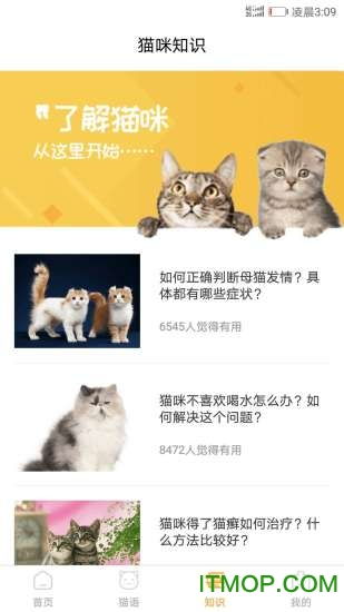 猫咪翻译器中文版下载 猫咪翻译器app下载v1.1.0 安卓版 
