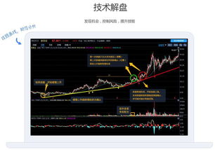 我在好投顾炒股，哪里能看到每天的禁买股，一般什么样的股票会不让买？