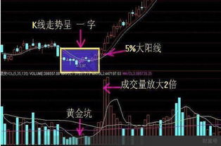 股票要每分每秒的去追着看吗?