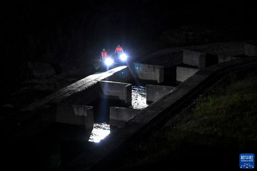 大藤峡水利枢纽建设双鱼道保护流域水生态 