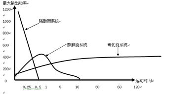 从生物学角度看,肌肉爆发力和耐力的区别来源于什么 