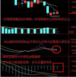 大盘什么时候能企稳