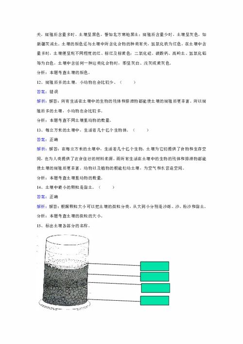 教科版科学五年级上册第三单元第四课 土壤中有什么 同步训练 